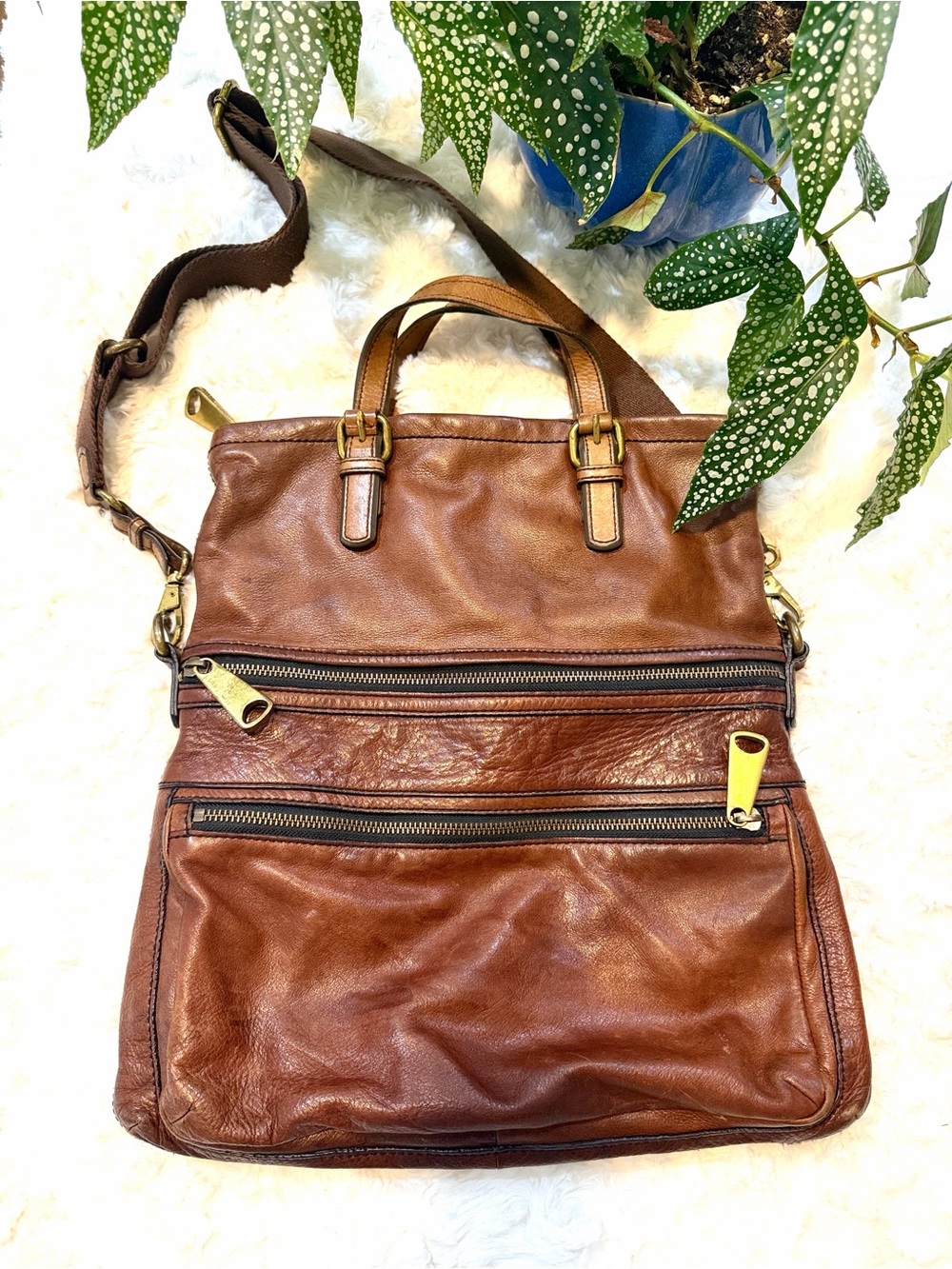 Rare Fossil Foldover Genuine Brown Leather Crossbody Bag with Brass Hardware
